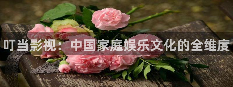 可可电影电影电视剧免费观看